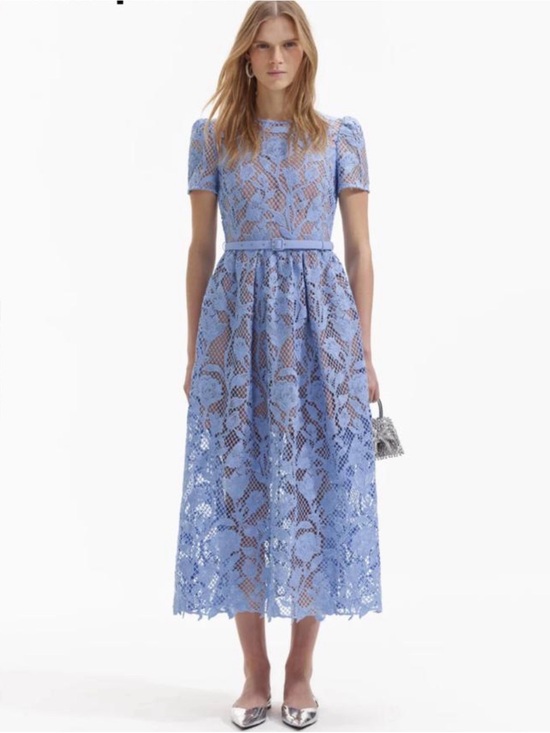 Self-Portrait Dresses & Skirts - Self-Portrait Powder Blue Floral Lace Midi Dress